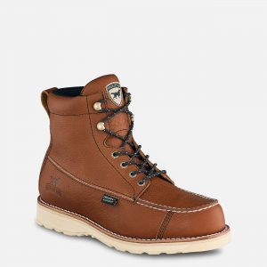 Irish Setter Wingshoot