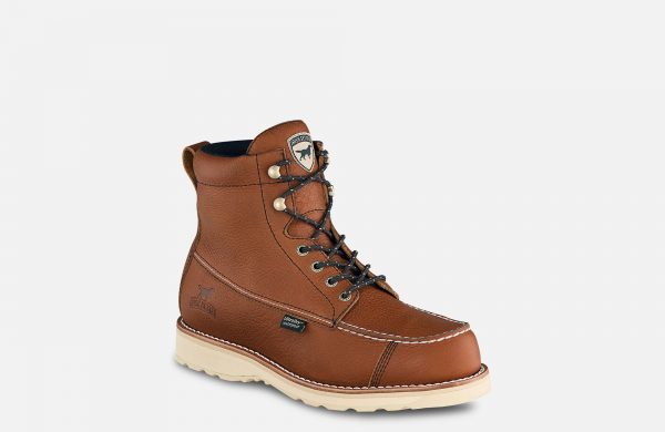 Irish Setter Wingshoot