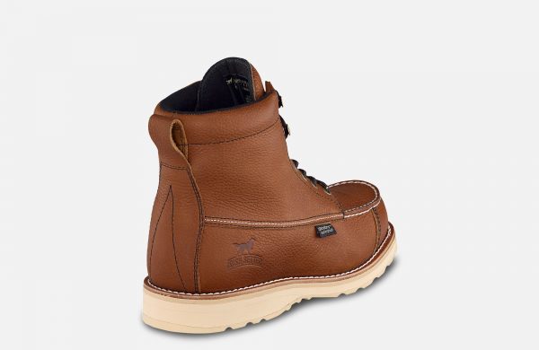 Irish Setter Wingshoot - Image 3
