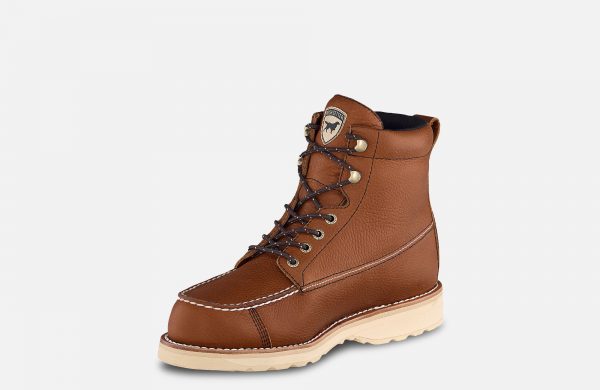 Irish Setter Wingshoot - Image 4