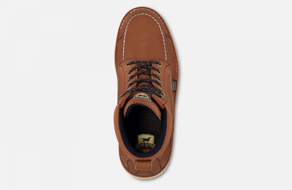 Irish Setter Wingshoot - Image 5