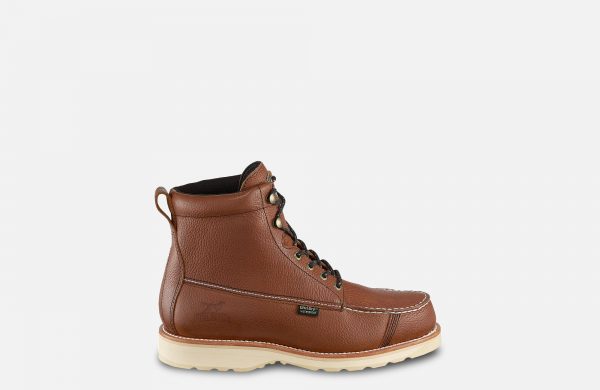 Irish Setter Wingshoot - Image 7