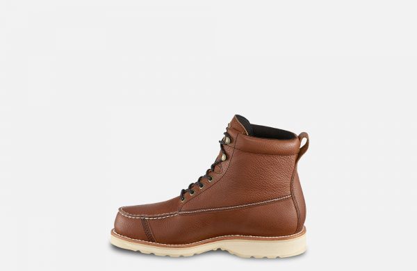 Irish Setter Wingshoot - Image 9