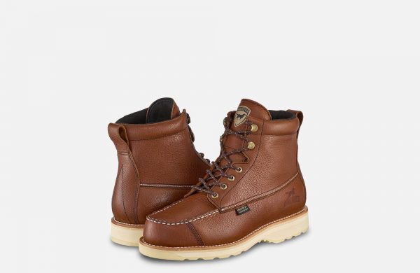 Irish Setter Wingshoot - Image 10