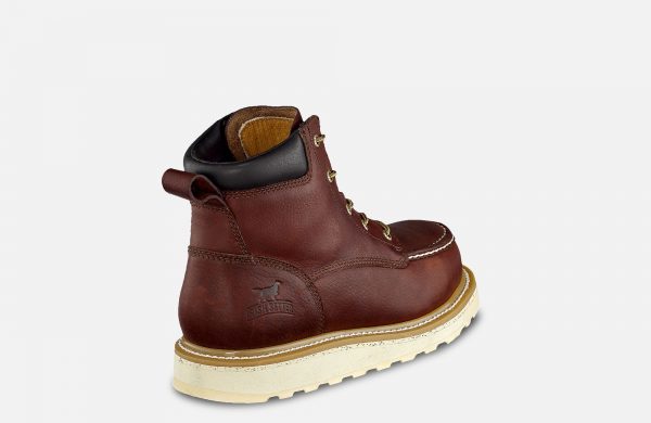 Irish Setter Ashby - Image 6