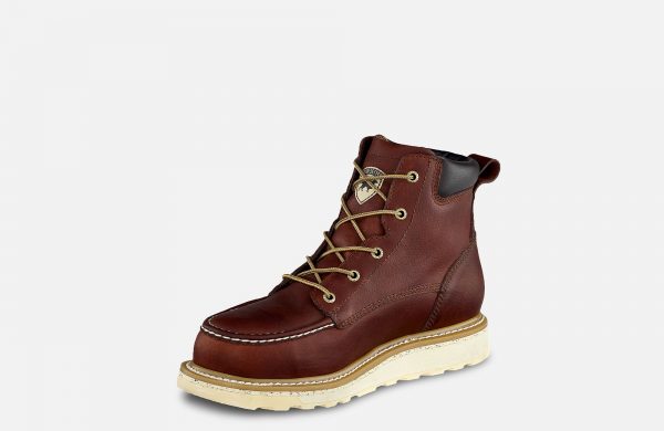 Irish Setter Ashby - Image 7