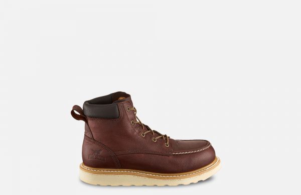 Irish Setter Ashby - Image 5