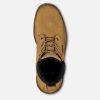 Irish Setter Hopkins - Image 5