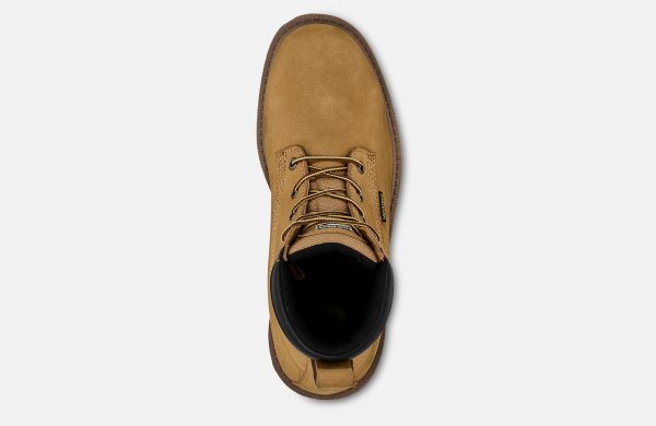 Irish Setter Hopkins - Image 5