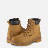 Irish Setter Hopkins - Image 10