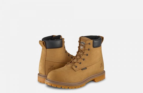 Irish Setter Hopkins - Image 10