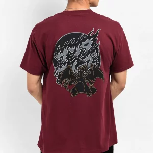 Pokemon & Santa Cruz Fire Type 3 Men's Burgundy T-Shirt - (Charizard)